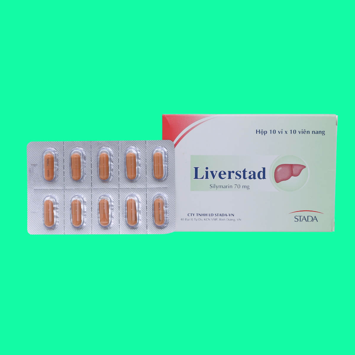 Liverstad - 1 Liverstad
