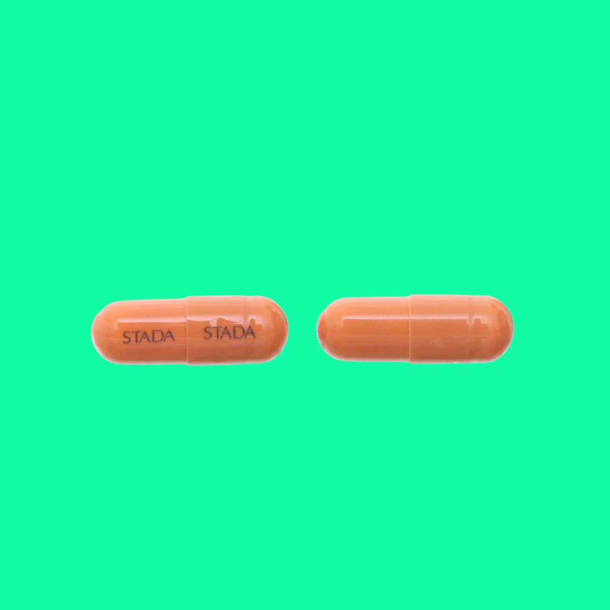 Liverstad - 5 Liverstad