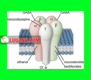 Brexanolone