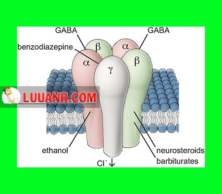 Brexanolone
