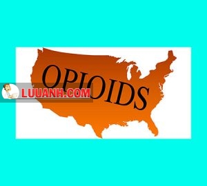 Opioid