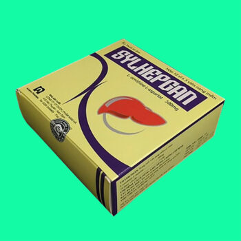 Sylhepgan