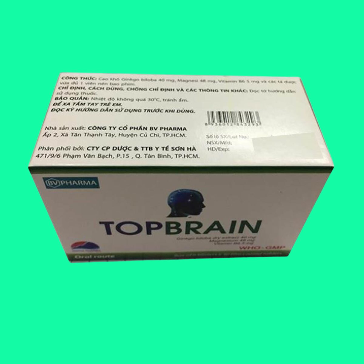 Topbrain-3 Topbrain
