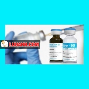 Vaccine