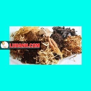 dược liệu
