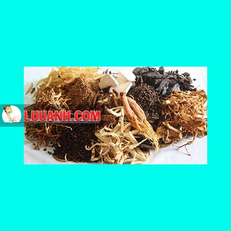 dược liệu