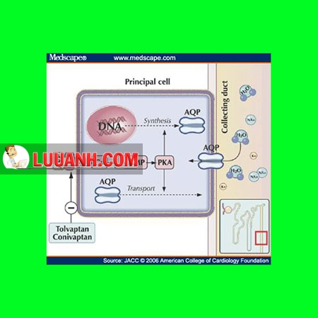 Thông tin (information) & tri thức (knowledge). 1 knowledge