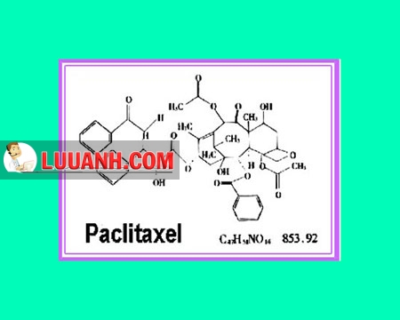 paclitaxel