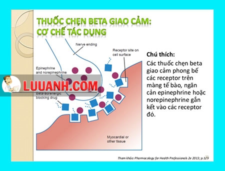 Thuốc chẹn beta