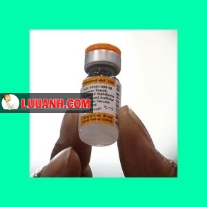 vaccine