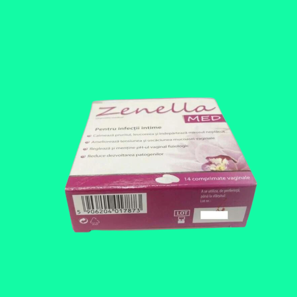 Zenella Med - 6 Zenella Med