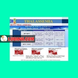 beta-thalassemia