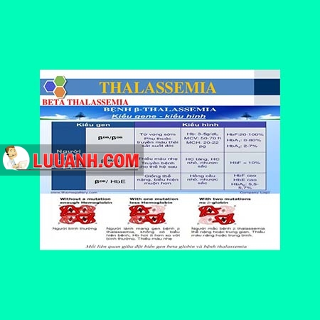 beta-thalassemia