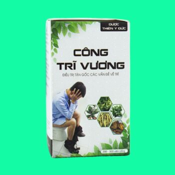 Công Trĩ Vương