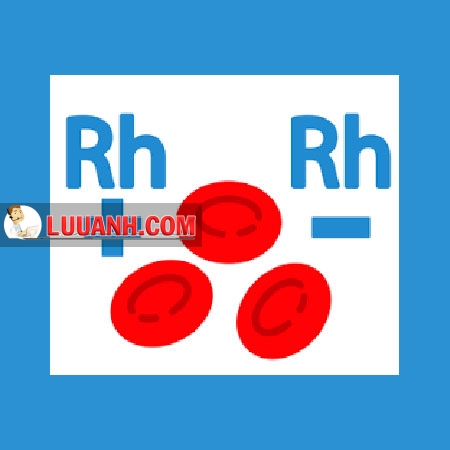 NHỮNG ĐIỀU CẦN BIẾT VỀ NGƯỜI NHÓM MÁU RH- 2 mau hiem