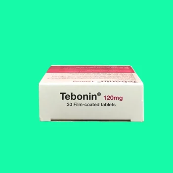 Thuốc Tebonin 120mg