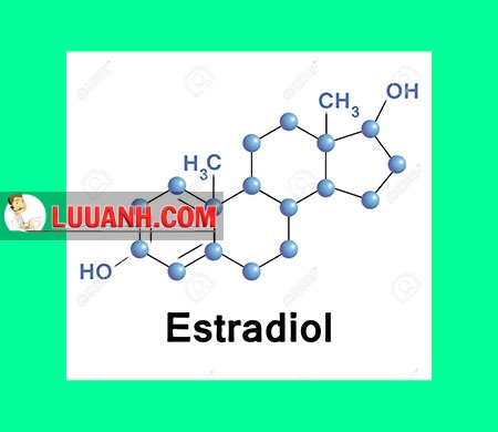 Estradiol