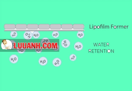 Lipofilm