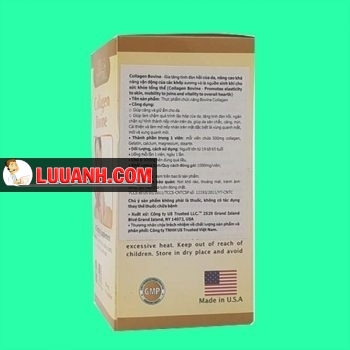 bovine Collagen