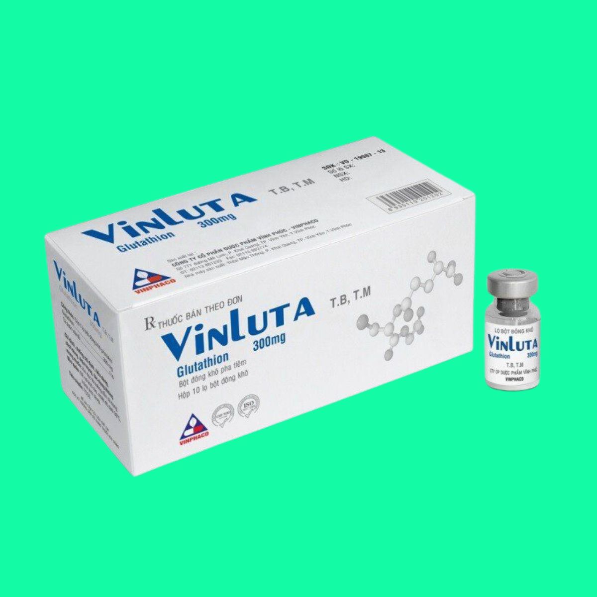 Vinluta vinluta