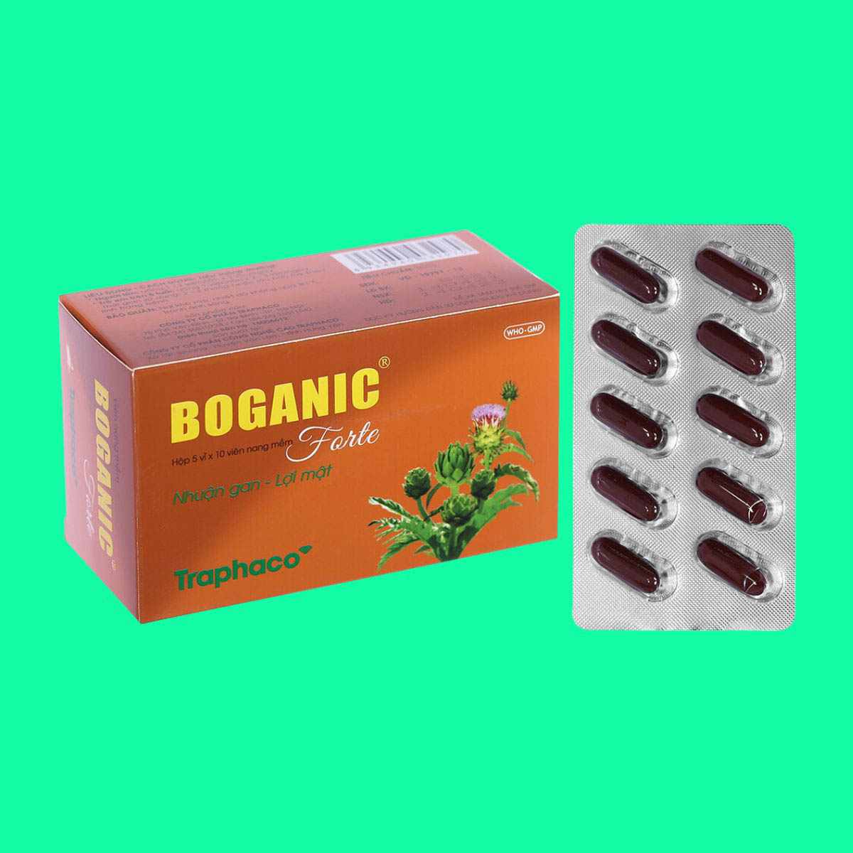 Thiết kế chưa có tên - 1 Thuốc Boganic Forte