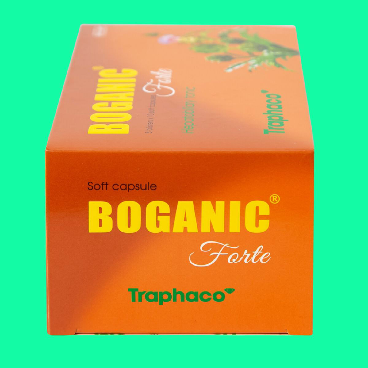 Thiết kế chưa có tên - 1 Thuốc Boganic Forte