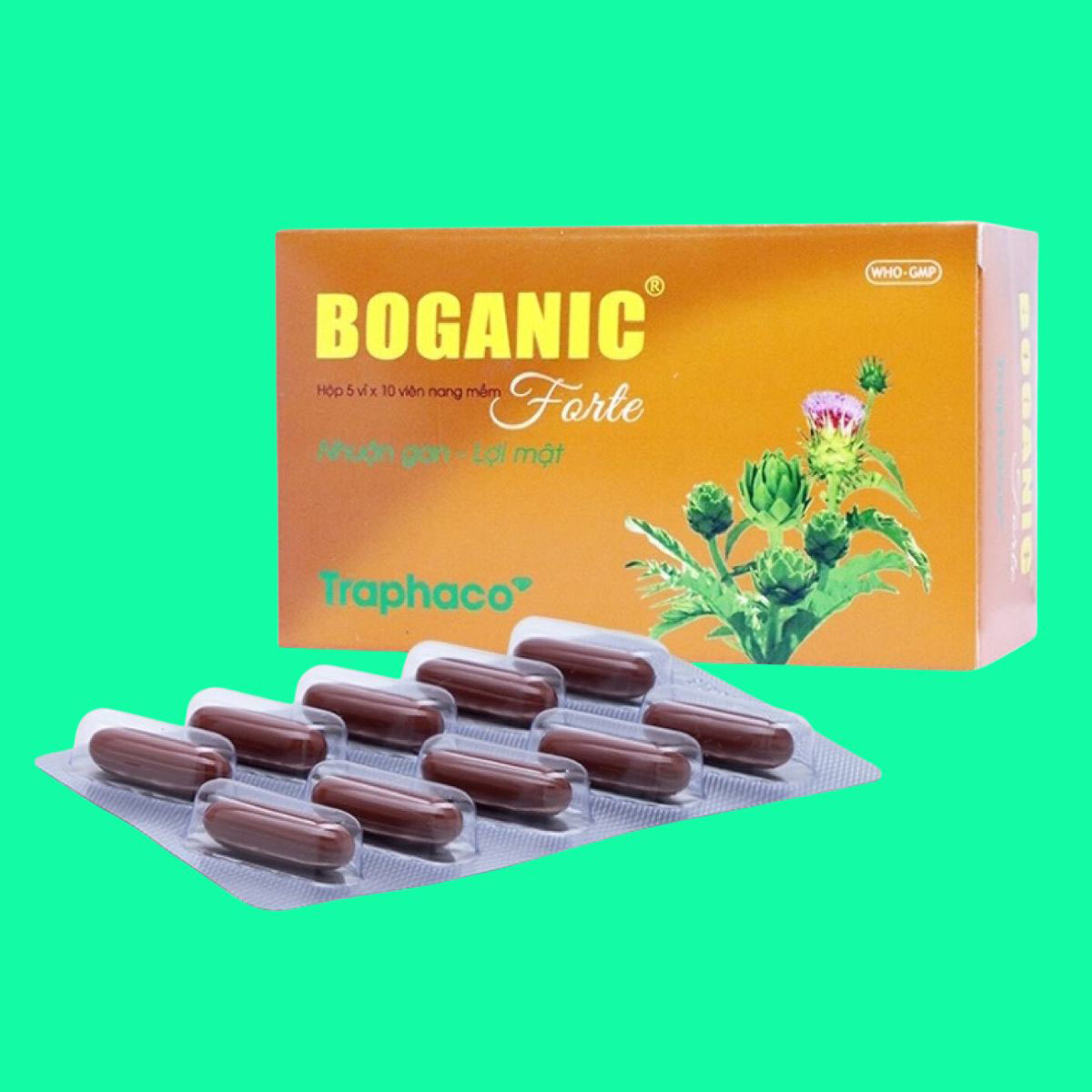 Thiết kế chưa có tên - 1 Thuốc Boganic Forte