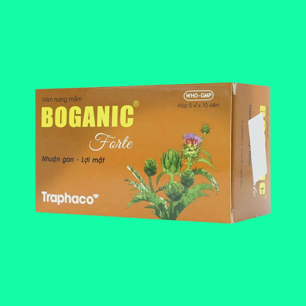 Thiết kế chưa có tên - 1 Thuốc Boganic Forte