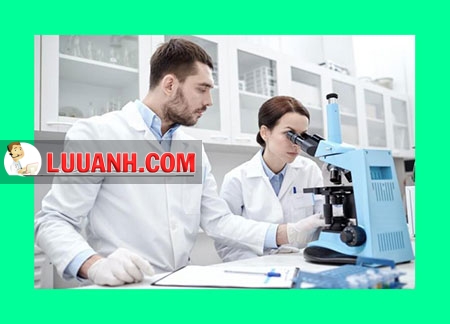 học dược ở pháp