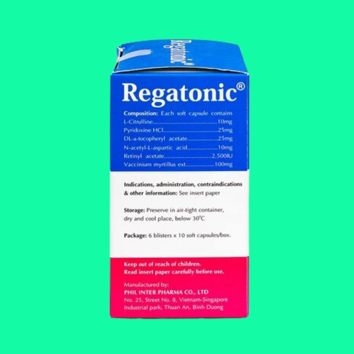 Regatonic 3 Regatonic