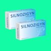 Silnozigyn 15 Silnozigyn