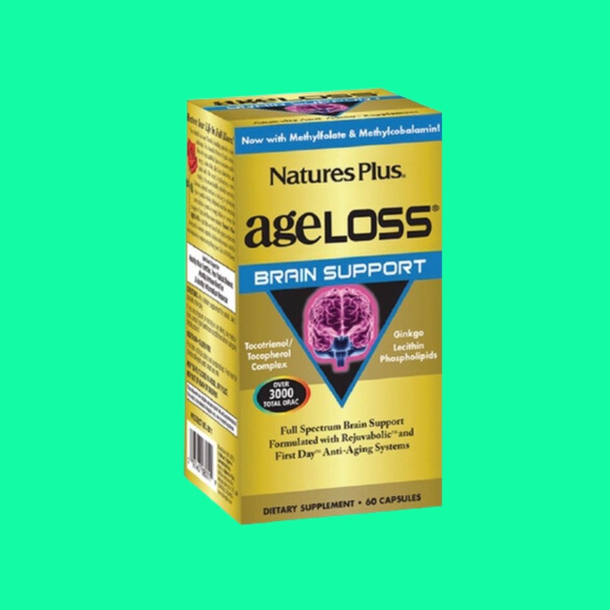 AgeLoss-Brain-Support-3 AgeLoss Brain Support