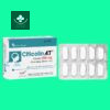 Citicolin A.T 10 Mặt trước hộp thuốc Citicolin A.T 500mg