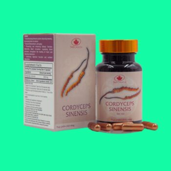 Cordyceps Sinensis THD Canada