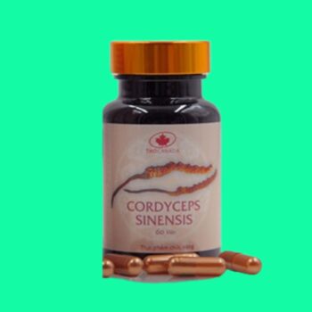 Cordyceps Sinensis THD Canada