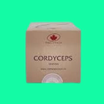 Cordyceps Sinensis THD Canada