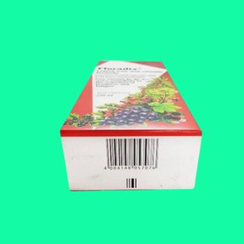 Floradix Liquid Iron And Vitamin Formula