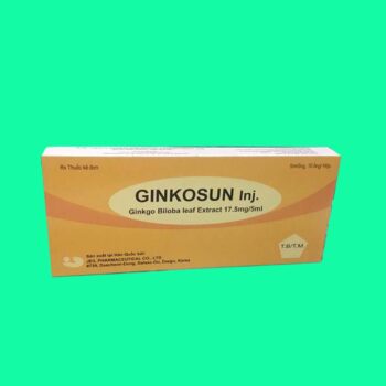 Ginkosun inj.