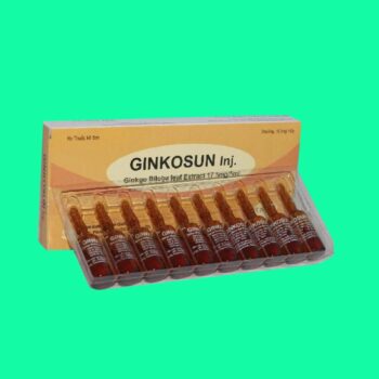 Ginkosun inj.