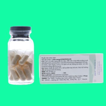 Gynophilus