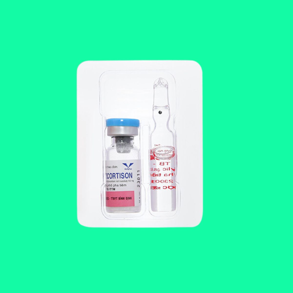Hydrocortison Bidiphar (5) Hydrocortison Bidiphar 100mg chống viêm, dị ứng