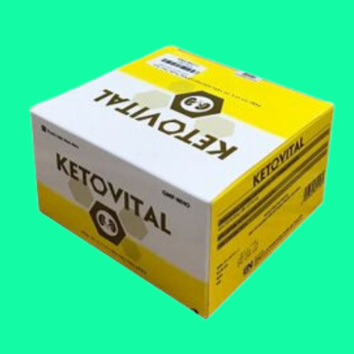 Ketovital (3) Ketovital điều trị suy thận