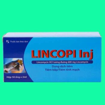 Lincopi Inj 1 Thuốc Lincopi Inj có tác dụng gì?