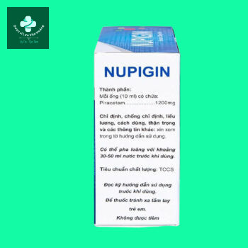 Nupigin