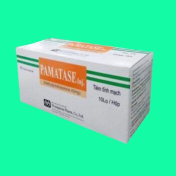 Pamatase-Inj 2 Thuốc Pamatase có tác dụng gì?