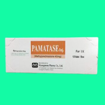 Pamatase-Inj 3 Thuốc Pamatase có tác dụng gì?