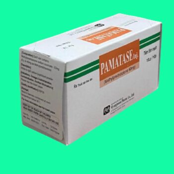 Pamatase-Inj 5 Thuốc Pamatase có tác dụng gì?