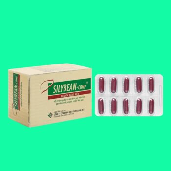Silybean - comp