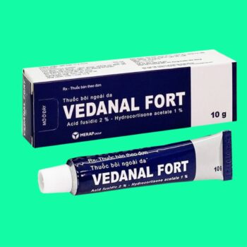 Vedanal Fort