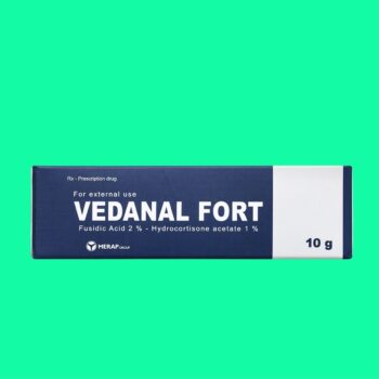 Vedanal Fort